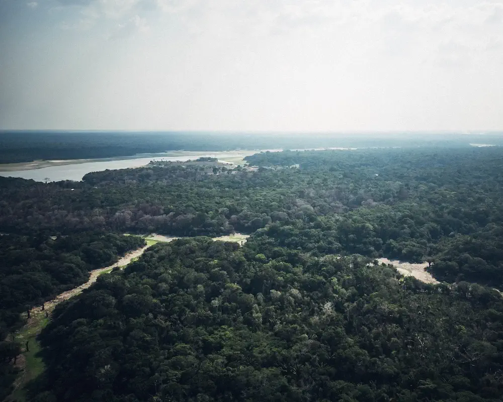 Vue aérienne de la forêt amazonienne et de ses cours d’eau